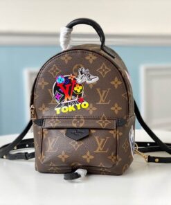 LV Backpack