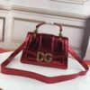D&G bag