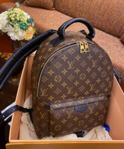 LV Backpack