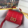 D&G bag