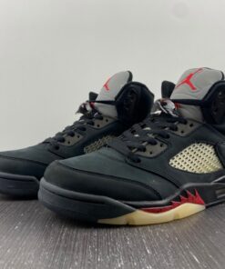 Air Jordan 5 Gore-Tex