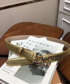 D&G belt