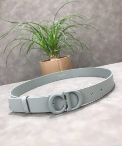 Dior belt